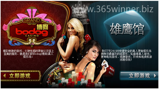 博狗拥有自主开发的新真人娱乐平台Grand Casino和HoGaming平台的雄鹰馆