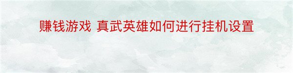 赚钱游戏 真武英雄如何进行挂机设置