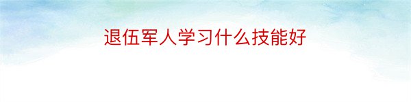 退伍军人学习什么技能好